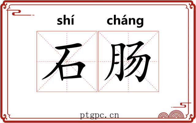 石肠