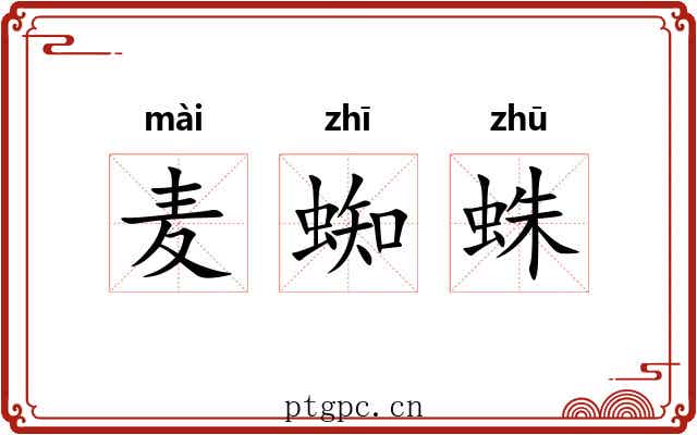 麦蜘蛛