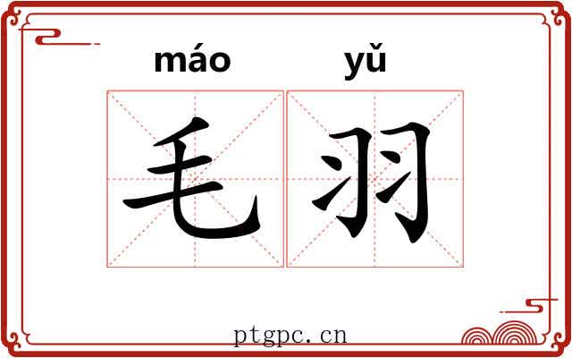 毛羽