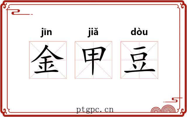 金甲豆