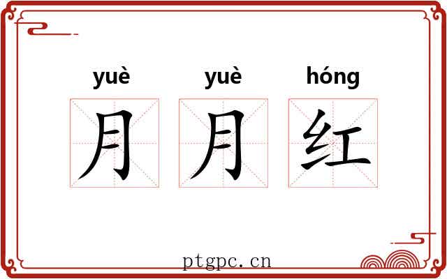 月月红 月月红
