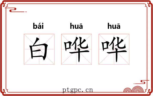 白哗哗