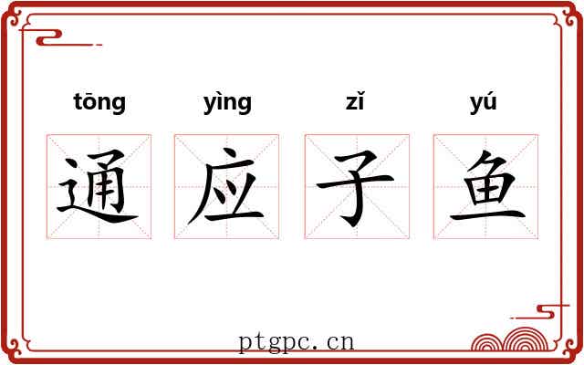 通应子鱼 通应子鱼