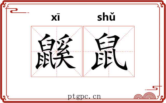 鼷鼠