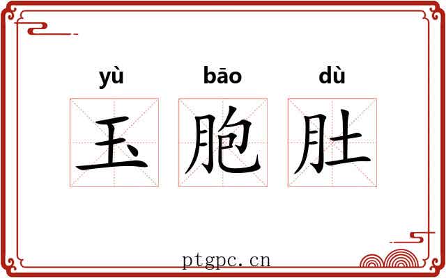 玉胞肚 玉胞肚