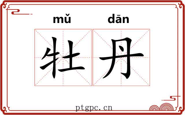 牡丹 牡丹