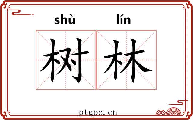 树林 树林