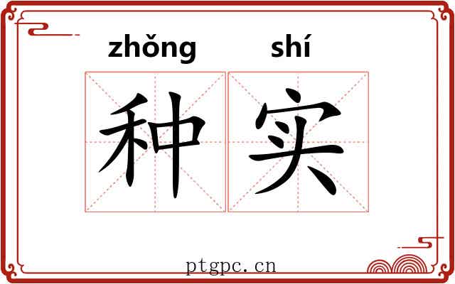 种实