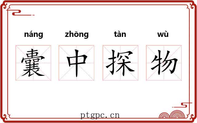 囊中探物