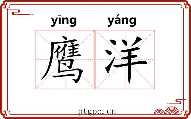 鹰洋