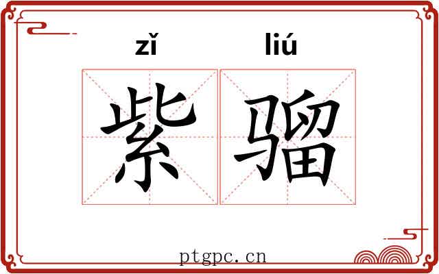 紫骝