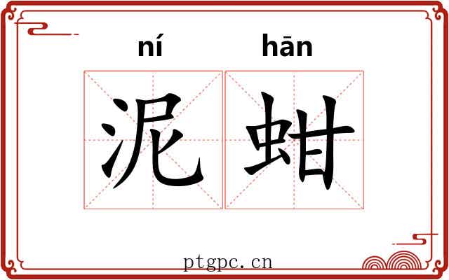 泥蚶