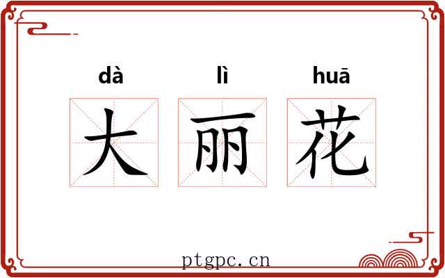 大丽花