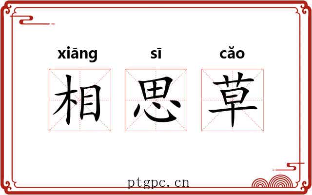 相思草