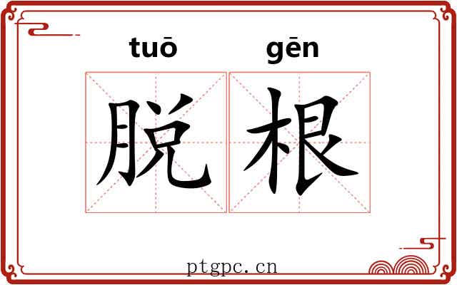 脱根 脱根