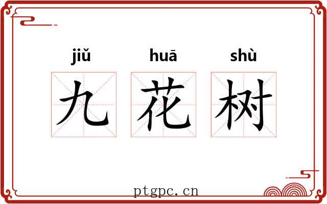 九花树