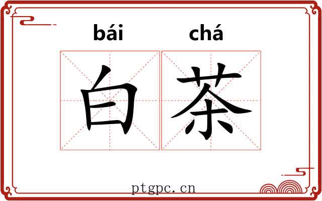 白茶