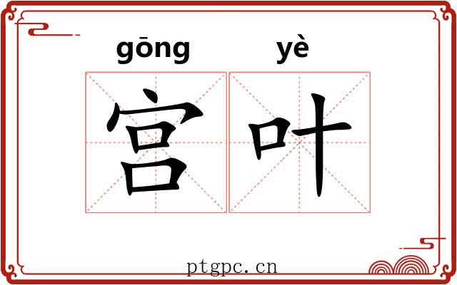 宫叶