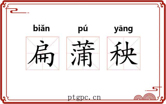 扁蒲秧