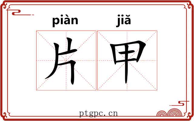 片甲 片甲