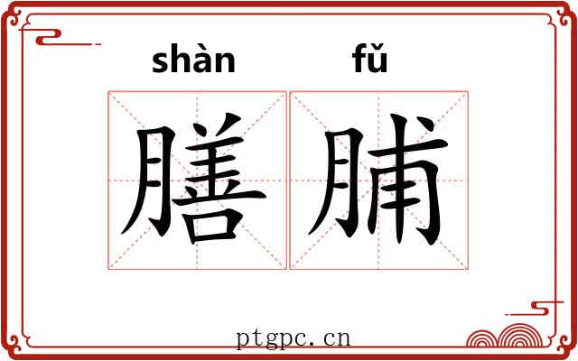 膳脯