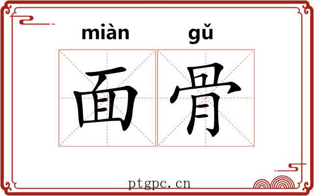 面骨 面骨