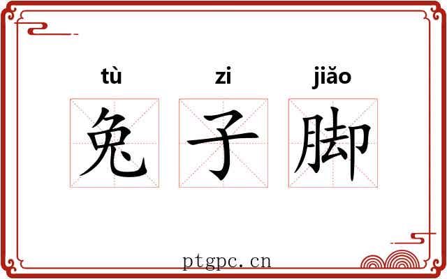 兔子脚 兔子脚