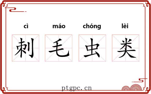 刺毛虫类 刺毛虫类