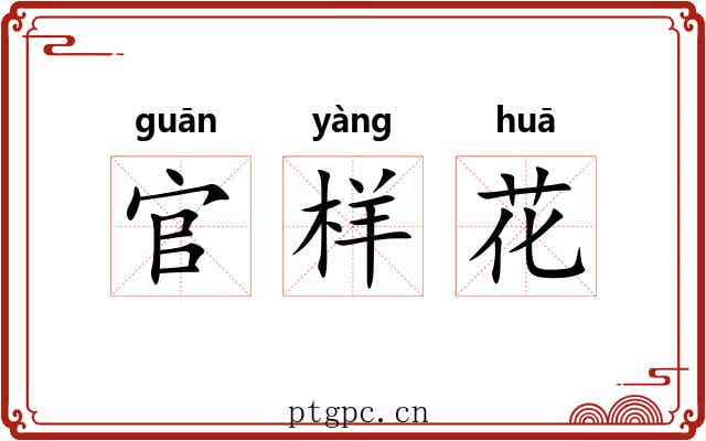 官样花 官样花