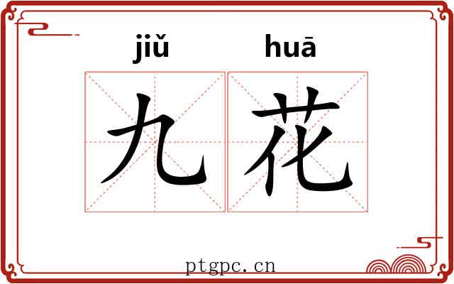 九花