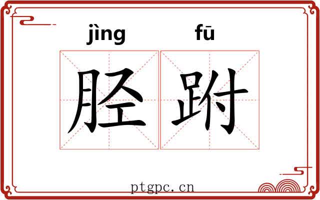 胫跗