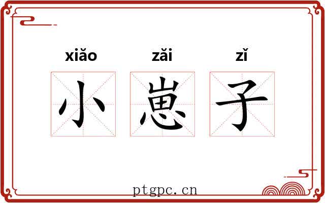 小崽子