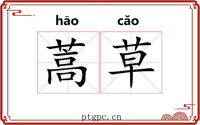 蒿草 蒿草