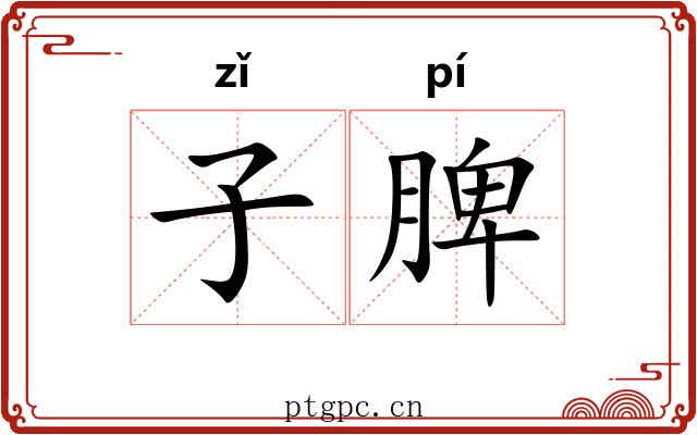 子脾 子脾
