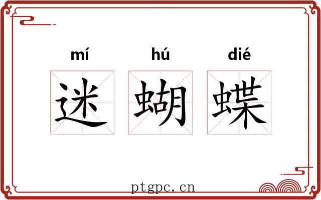 迷蝴蝶