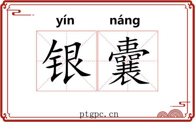 银囊 银囊