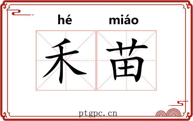 禾苗 禾苗