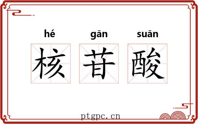 核苷酸