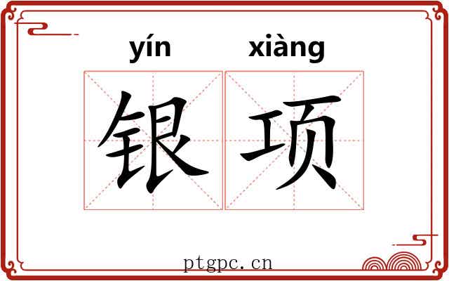 银项