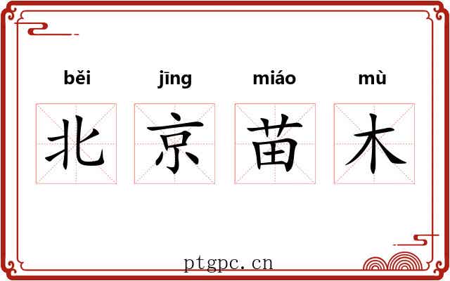北京苗木