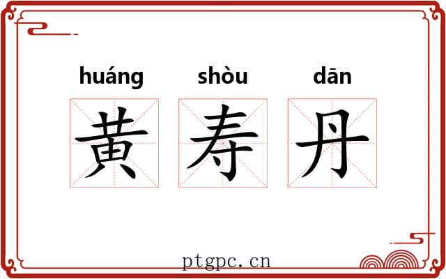黄寿丹