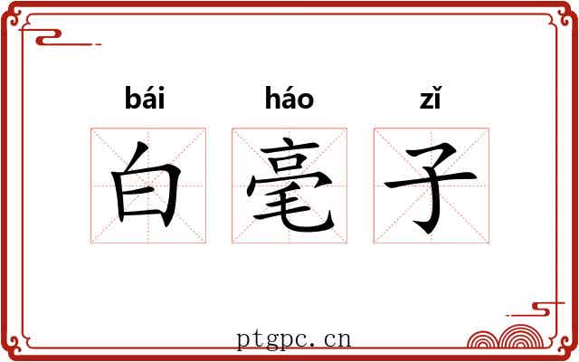 白毫子 白毫子