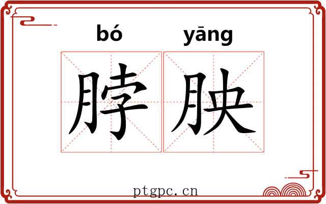 脖胦