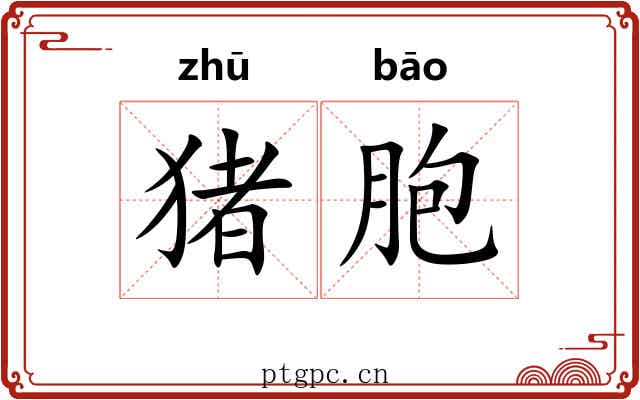 猪胞