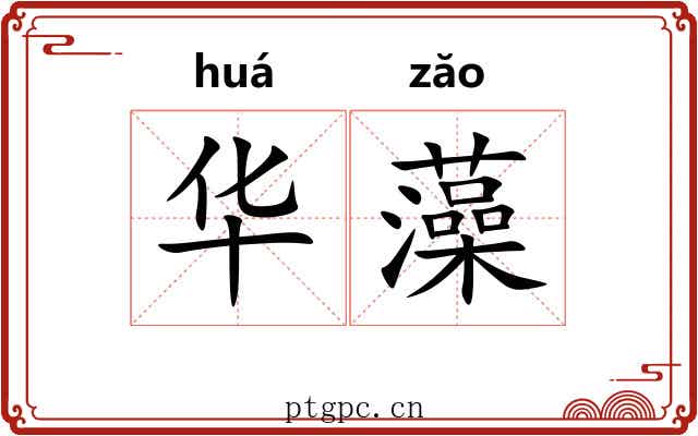 华藻