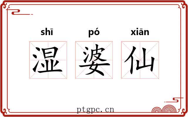 湿婆仙 湿婆仙