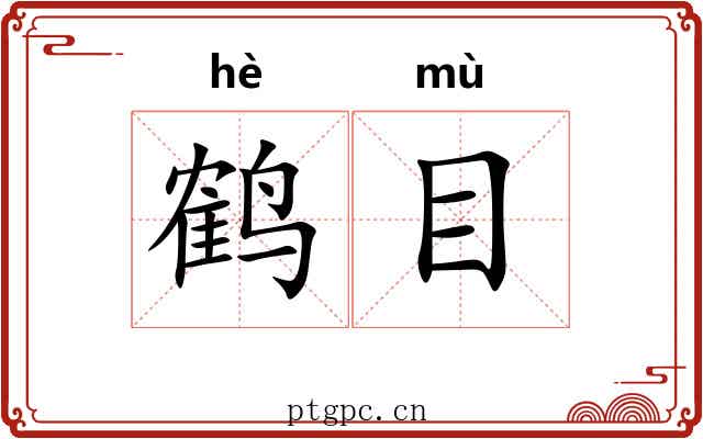 鹤目
