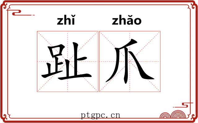 趾爪