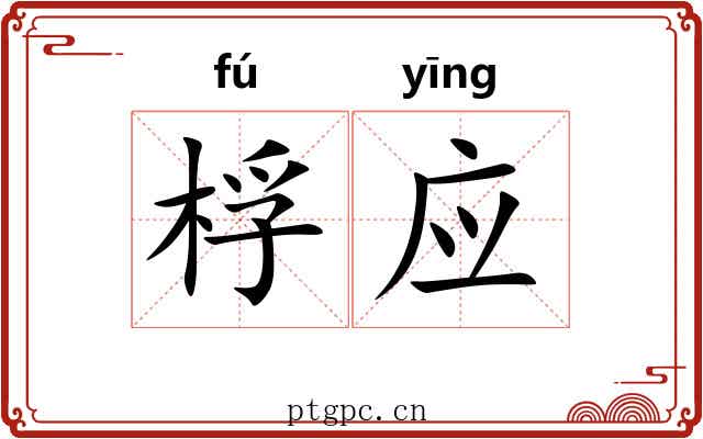 桴应