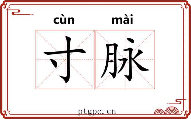 寸脉